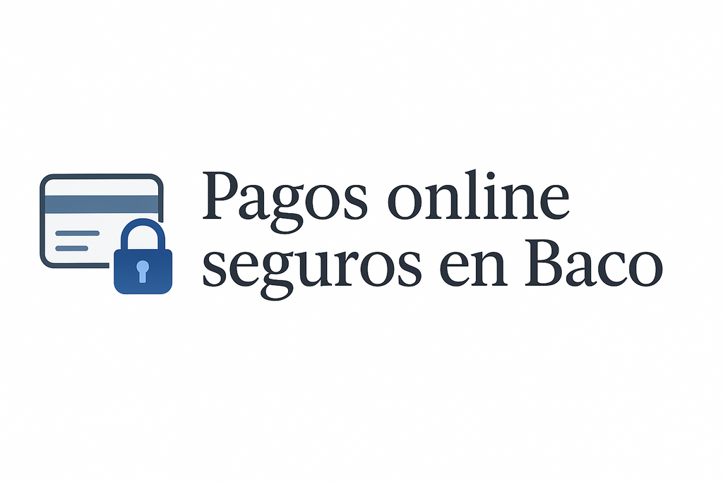 Compras en línea con tarjeta de crédito: seguridad y respaldo para nuestros clientes