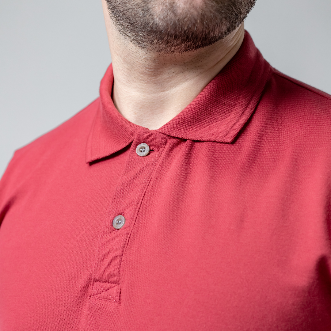 Remera Baco tipo Polo Premiun con Bordado