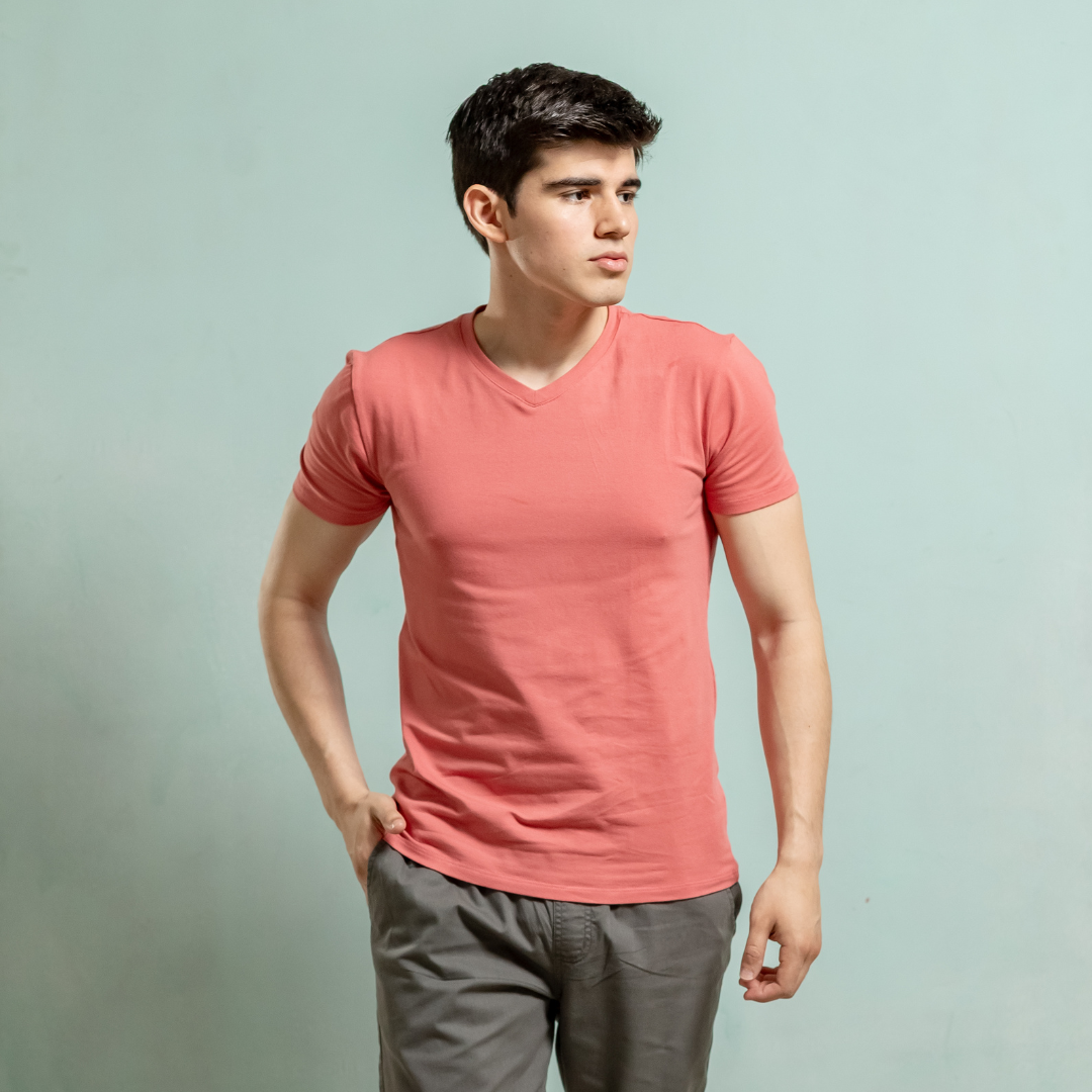 Remera  Baco Alquimia Cuello V 2025